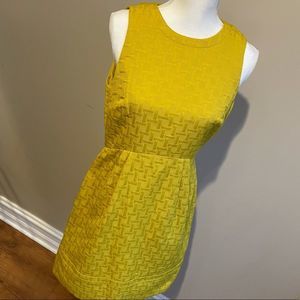 Eliza J Dress size 10